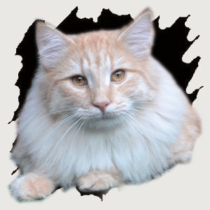 Faxe fra Jerriks Smykkeskrin